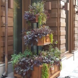 simferopol.barelwood.com